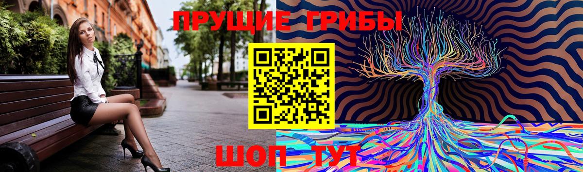 Качканар  Галлюциногенные грибы Psilocybine cubensis  Вход с VPN 