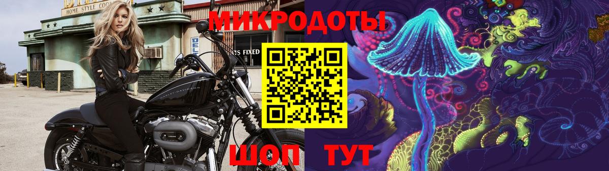 Псилоцибиновые грибы мицелий Качканар